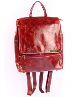 Mochila de Couro  466