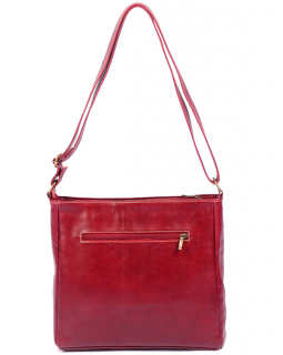 Bolsa de Couro Tiracolo 456